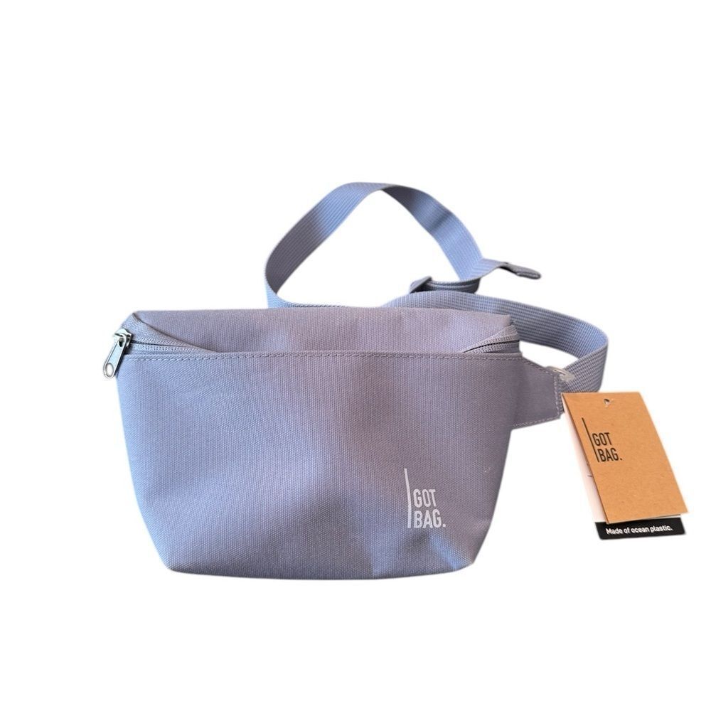Got Bag Hip Bag 2.0
